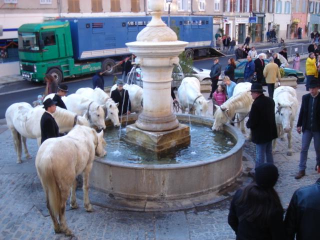 Les Tripettes de Barjols (83) - St Marcel - 2006 01 22 Barjols 12.JPG